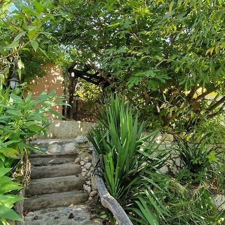 Bungalow Ghp-B Varna Luaran gambar